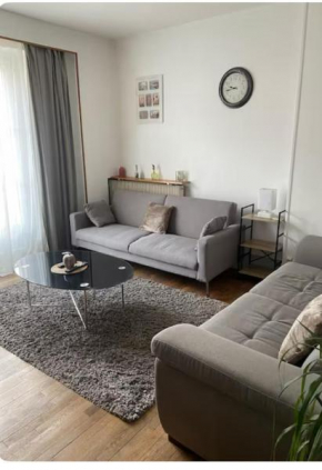 Appartement spacieux cosy centre Epinal !!!